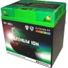 Batterie SKYRICH Lithium-Ion - LTX30LHQ